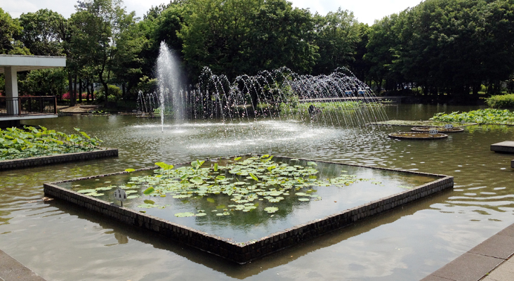 郷土の森公園「修景池」（東京都府中市矢崎町、南町）｜やっぱり池が好き